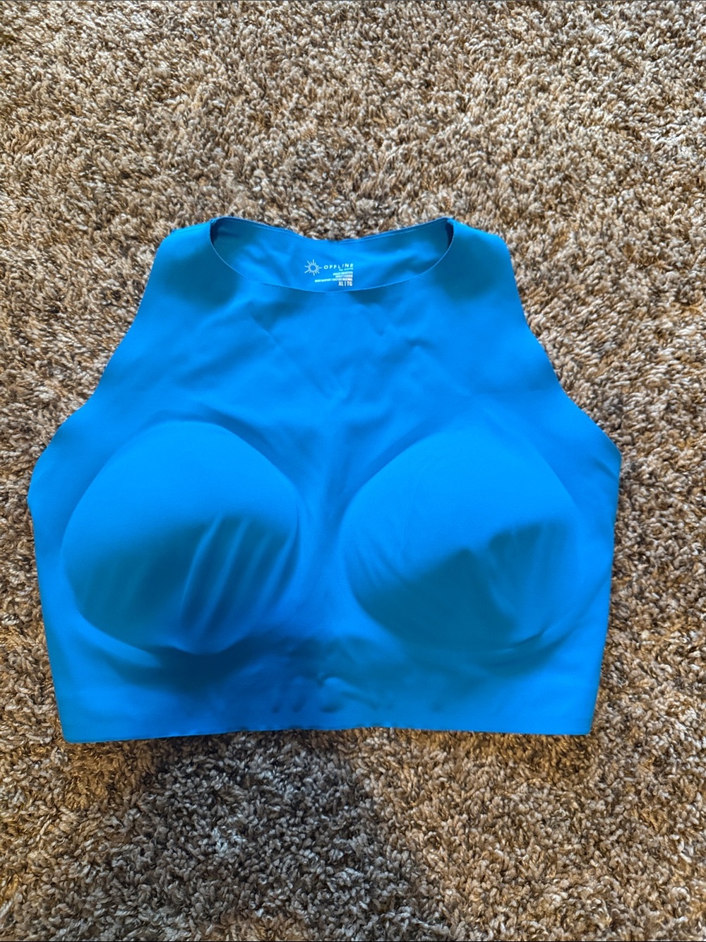 Aerie goals sports bra